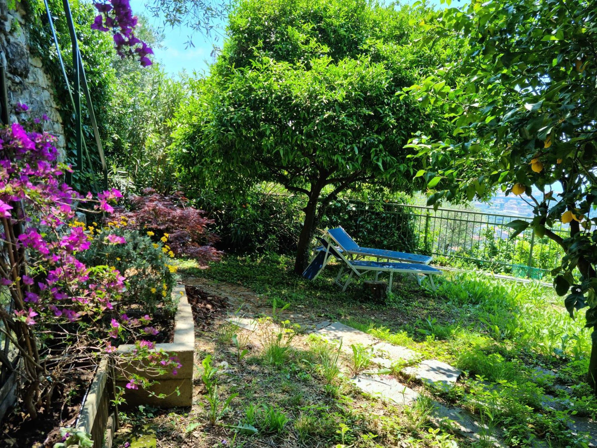 B&B La Terrazza Sui Fieschi Cogorno Bagian luar foto