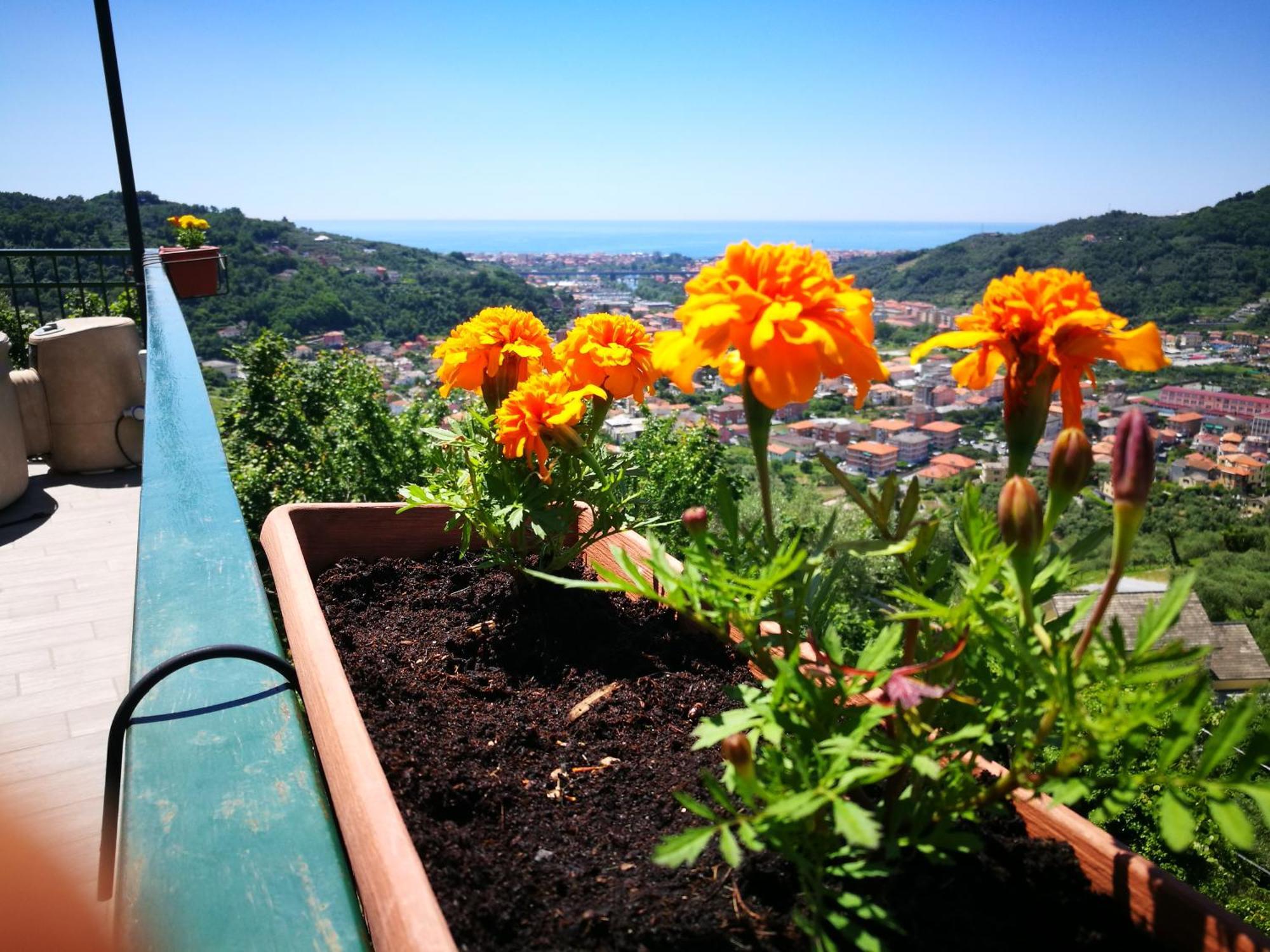 B&B La Terrazza Sui Fieschi Cogorno Bagian luar foto