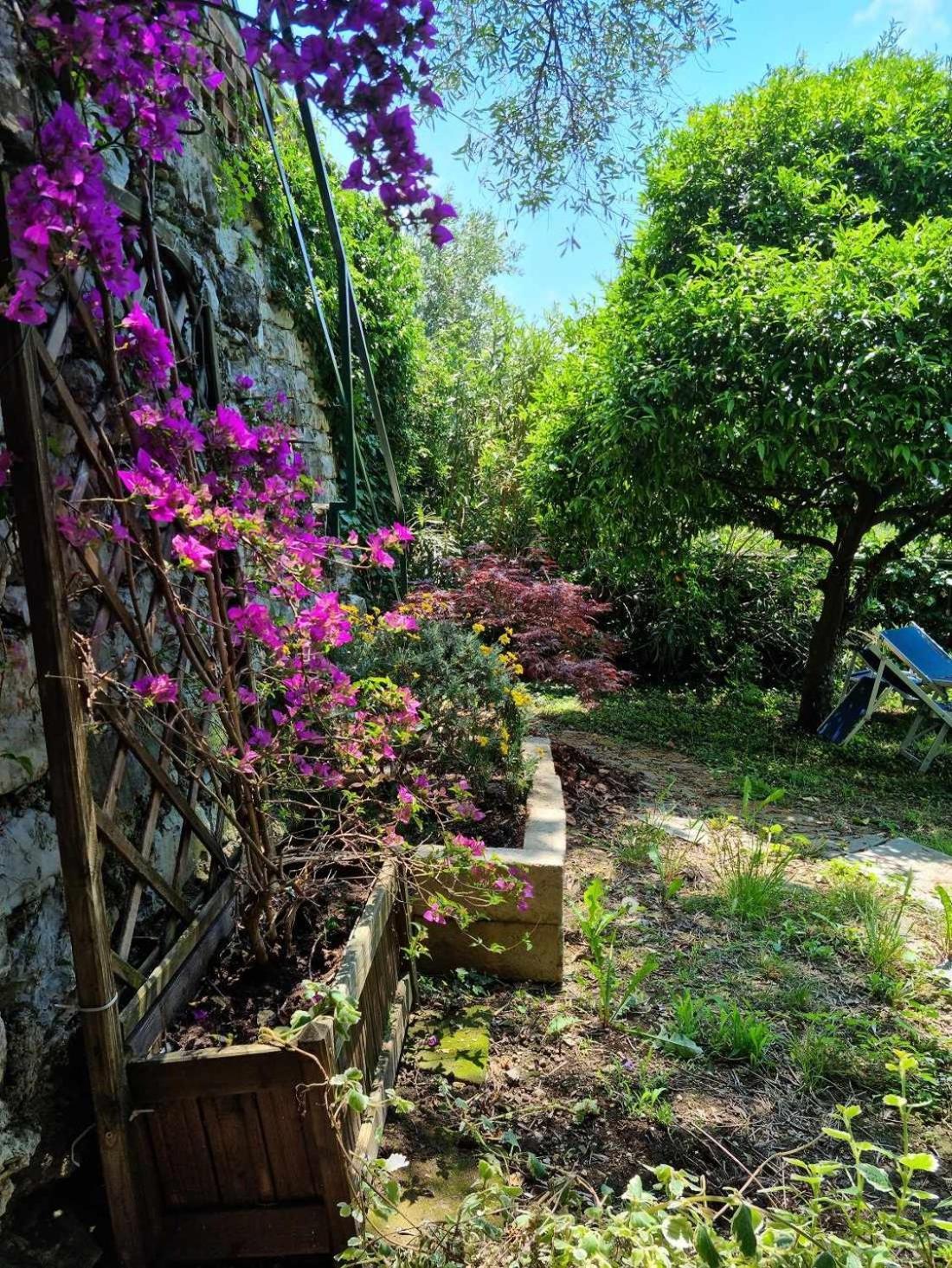B&B La Terrazza Sui Fieschi Cogorno Ruang foto